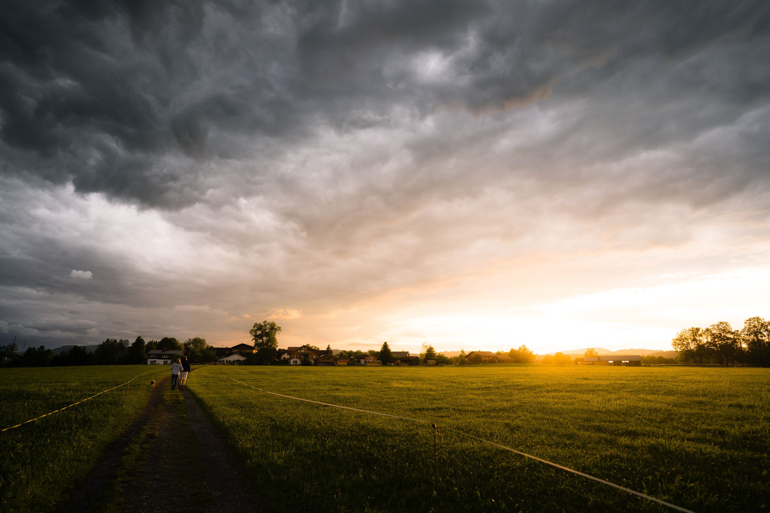 Wiese und Himmel während des Sonnenuntergangs